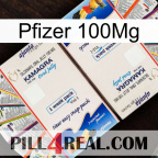 Pfizer 100Mg kamagra1